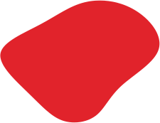 shape-04 (2)